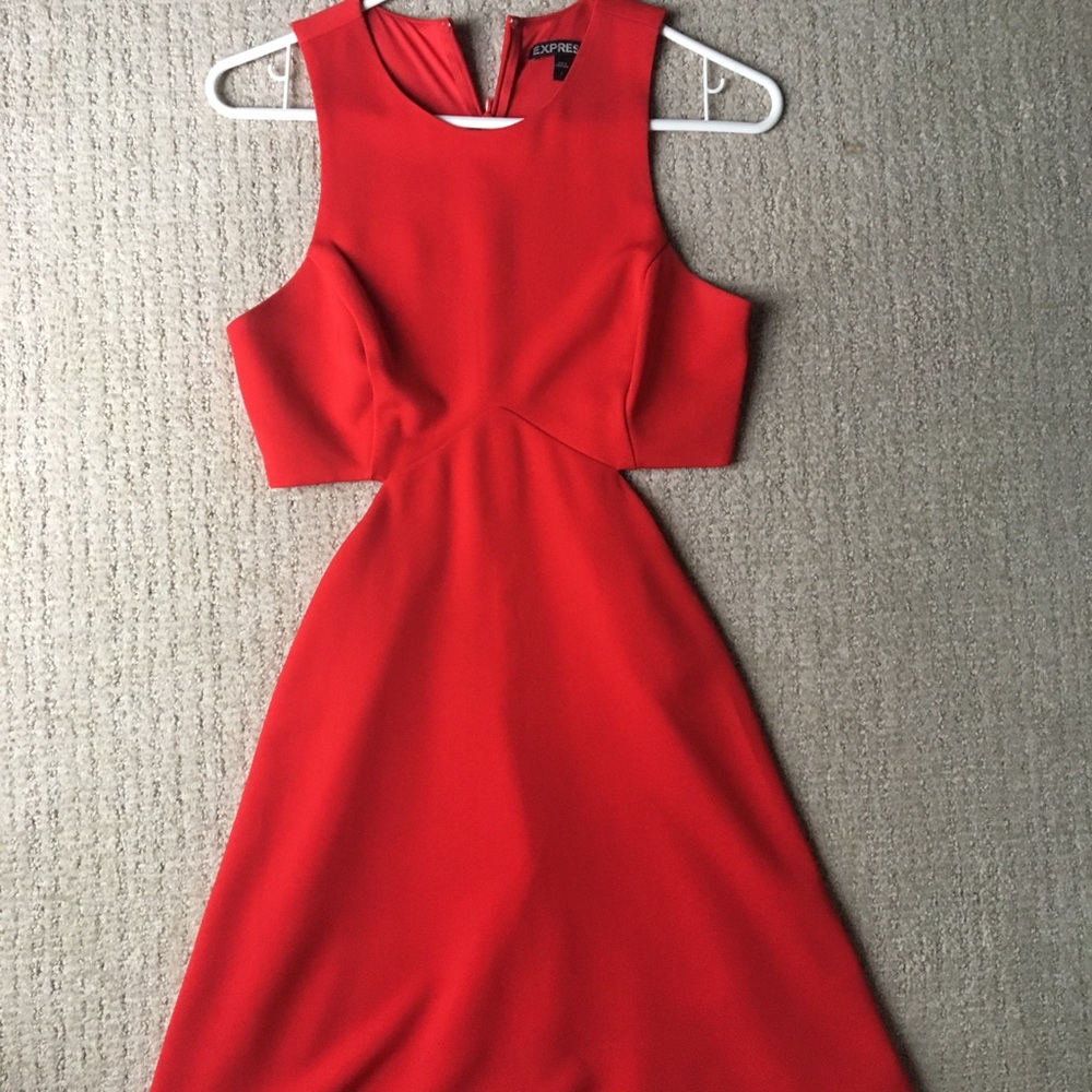 Express dress - Picture 3 of 5